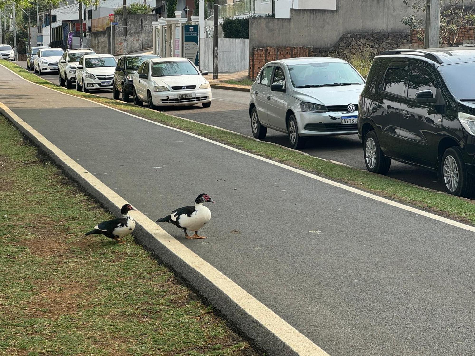 Com E Banheiro Em Frente Ao Parque Do Acomoda Ate 4 Pessoas 2 Camas Apartment *