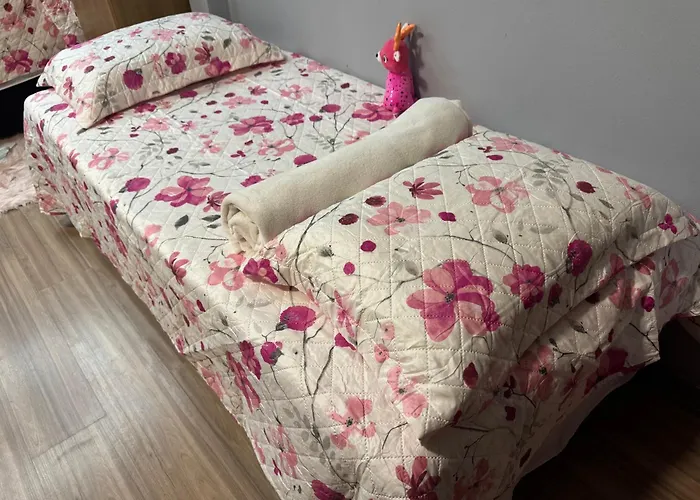 Studio Com Quarto E Banheiro Em Frente Ao Parque Do Lago Acomoda Ate 4 Pessoas 2 Camas